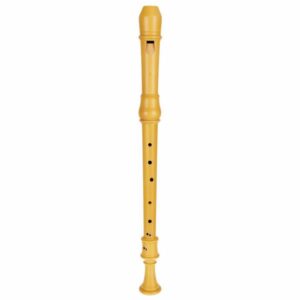 Mollenhauer Denner Series 5422 Tenor, keyless, Boxwood