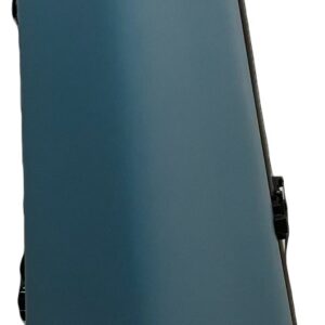 Treble Carbon Fiber Case