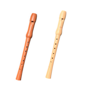 Recorders for Young Players and Schools